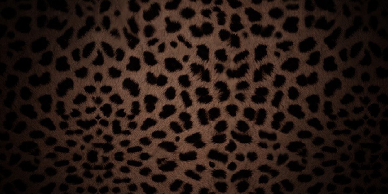 MarisolCalvo's profile banner image