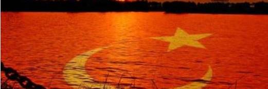 iris81_81's profile banner image