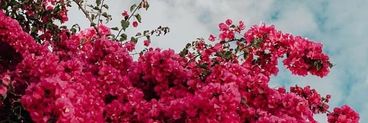 MayteLucio_'s profile banner image