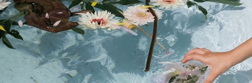 _flordeboluda_'s profile banner image