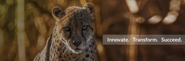 ProtivitiSAP's profile banner image