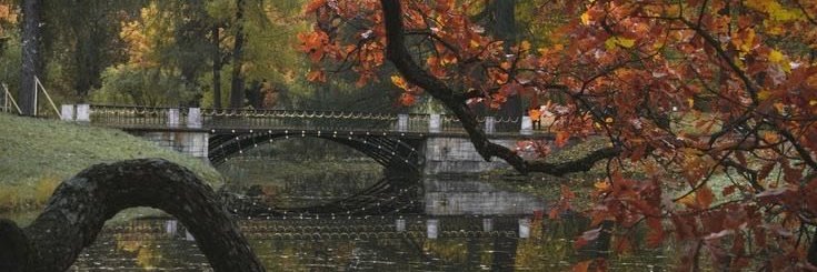 olizru's profile banner image