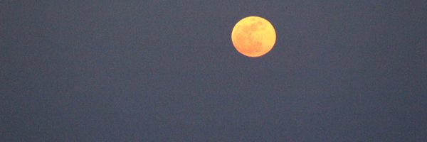 barbaraw1 Profile Banner