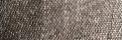 IsraeliBi's profile banner image
