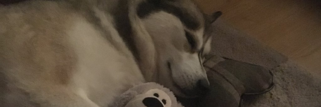 ga07evs's profile banner image