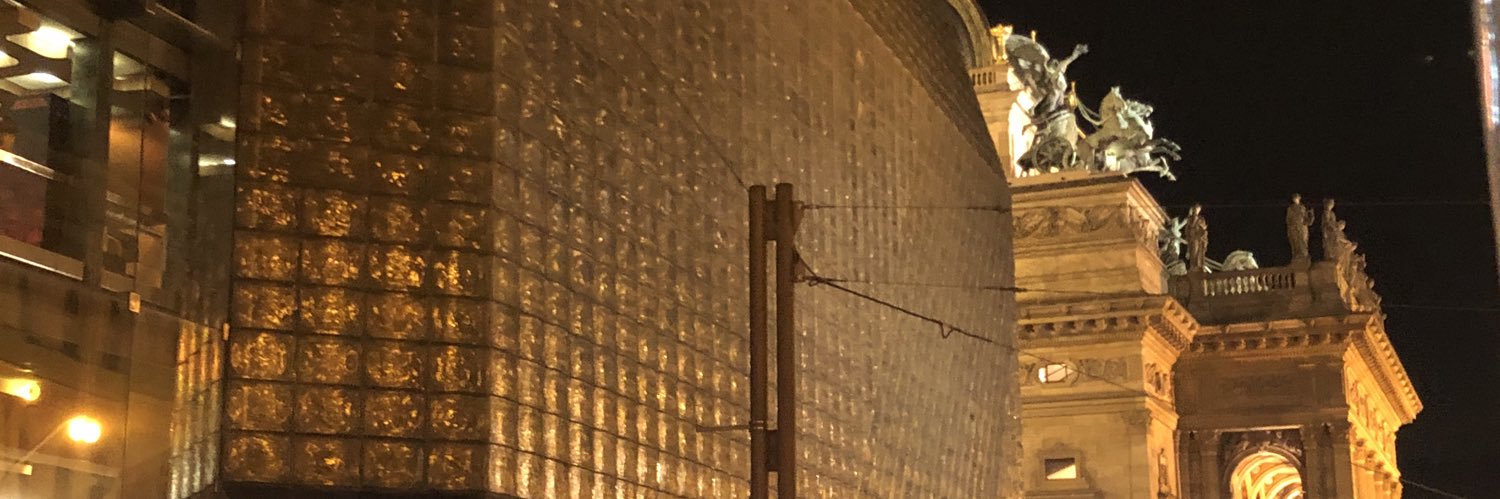 Sébastien Chonion • 🇫🇷🇩🇪🇪🇺 banner