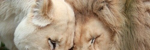 OTEYVYS's profile banner image