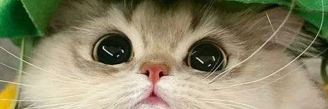 Solleile_2's profile banner image