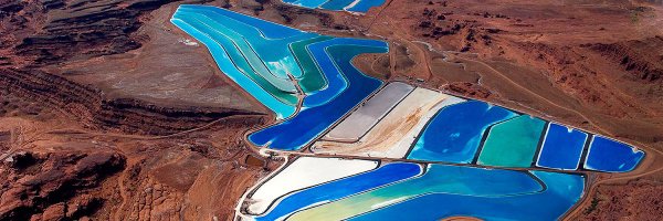 ashleysliu Profile Banner