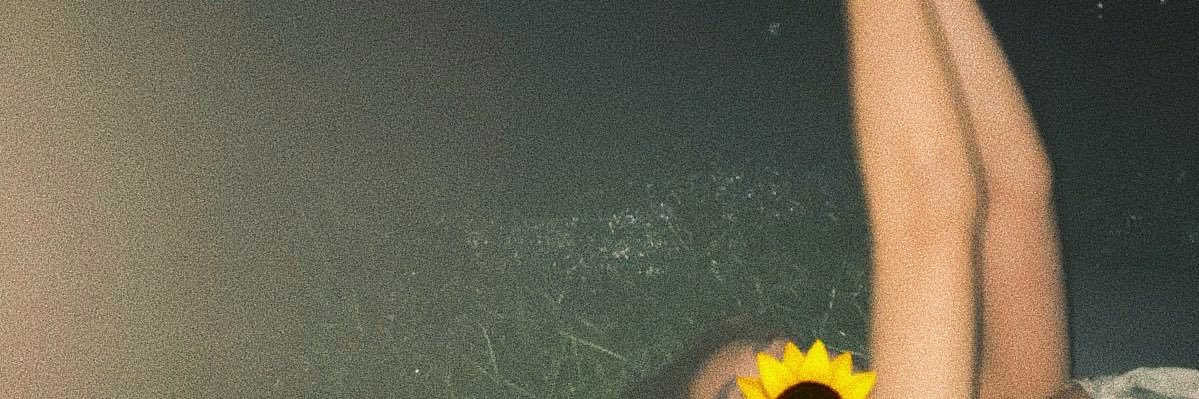 AppleSundaee's profile banner image