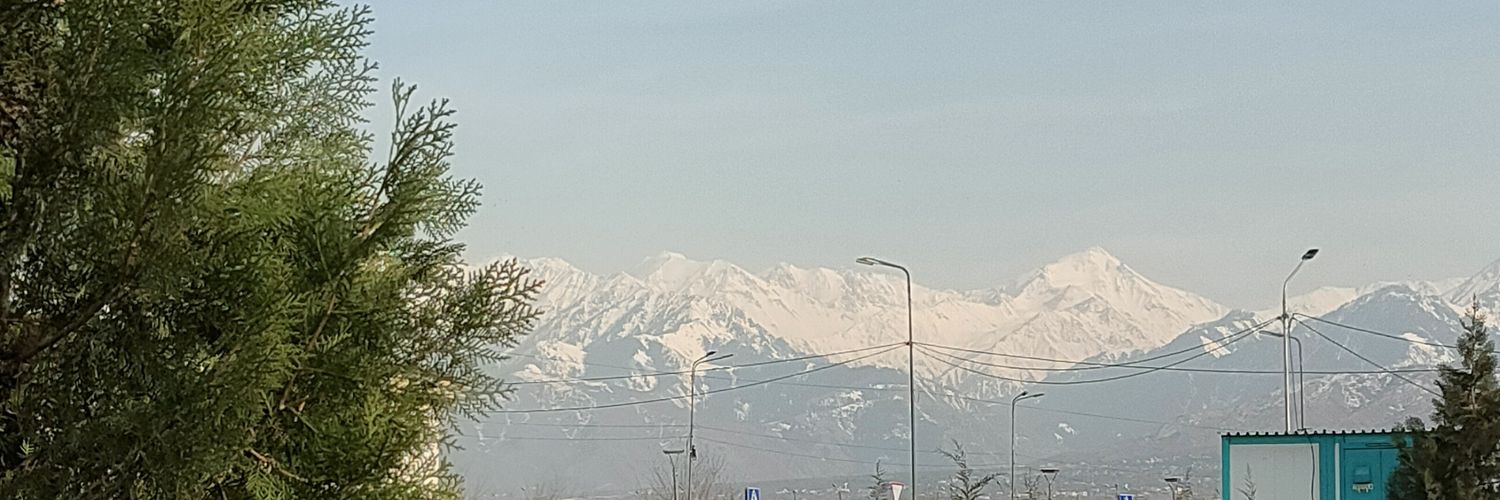 ПоЛесье banner