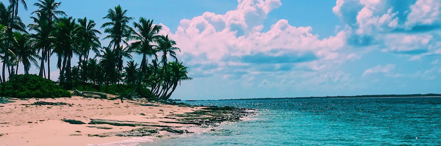 shea_ashton's profile banner image