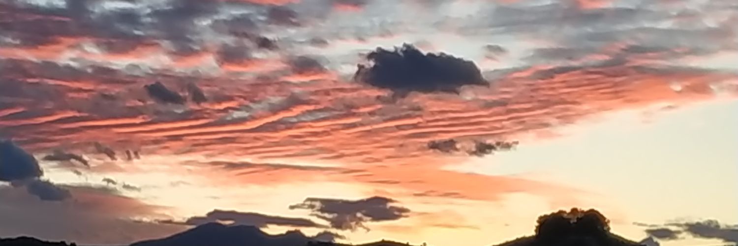 rewilding_spain's profile banner image