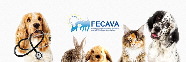 FECAVA Profile Banner