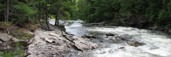 MVCAuthority Profile Banner