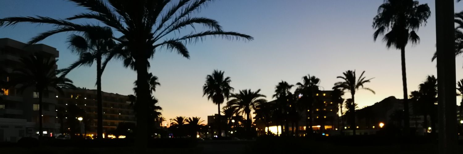 Matze banner