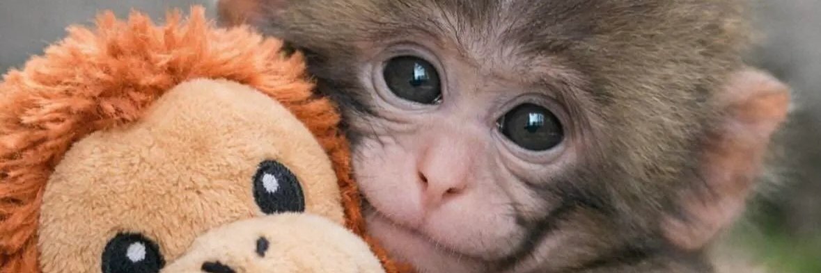 Alexis * FDT💙🇺🇸 🌻🌊 banner