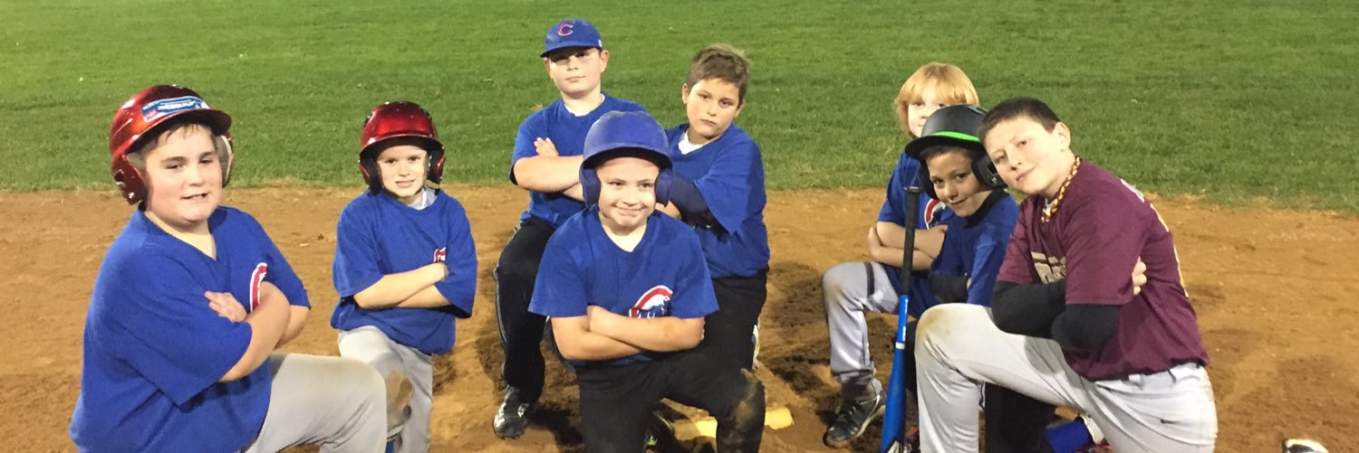 Berkeley Little Leag banner