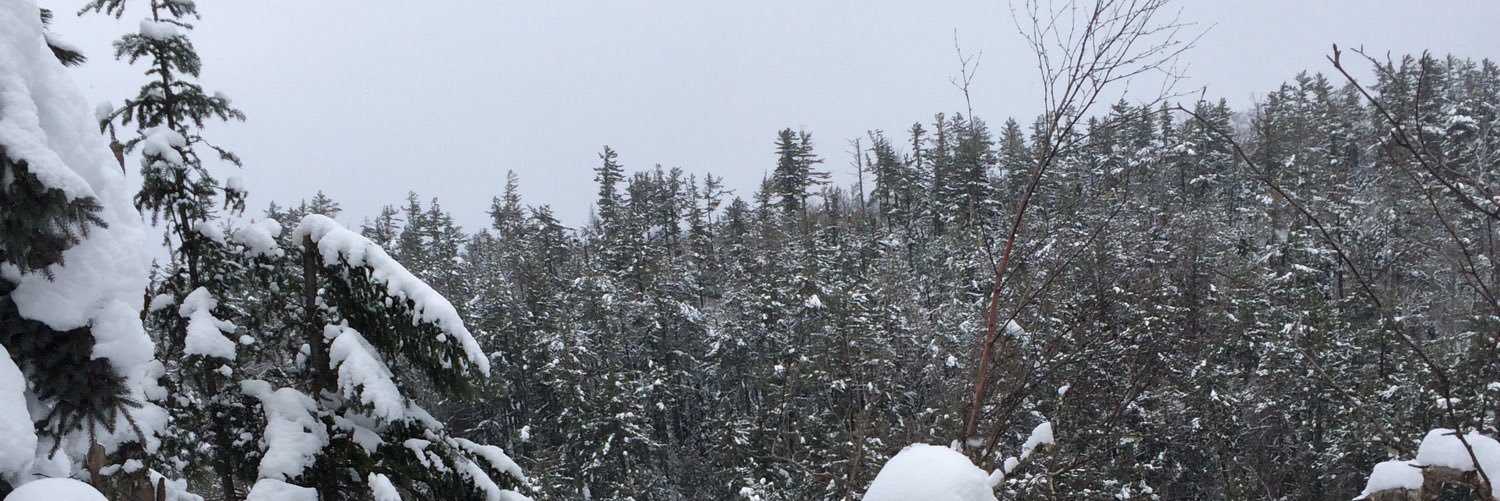 NickTheHuman's profile banner image