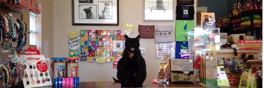 PlanetPetDenver's profile banner image