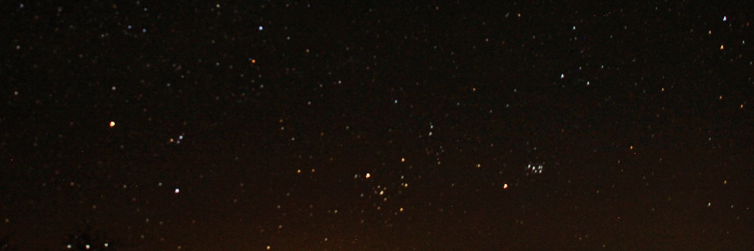 Elli_Elf's profile banner image