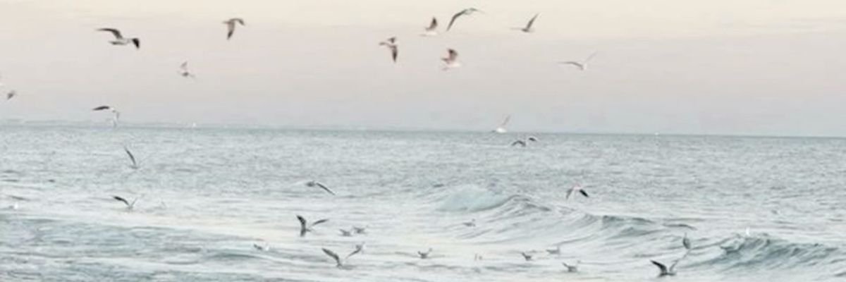 aliathal_'s profile banner image