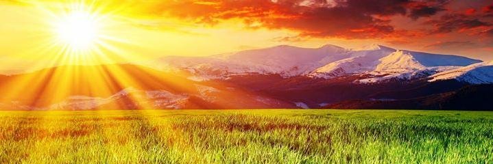 PidZo2's profile banner image