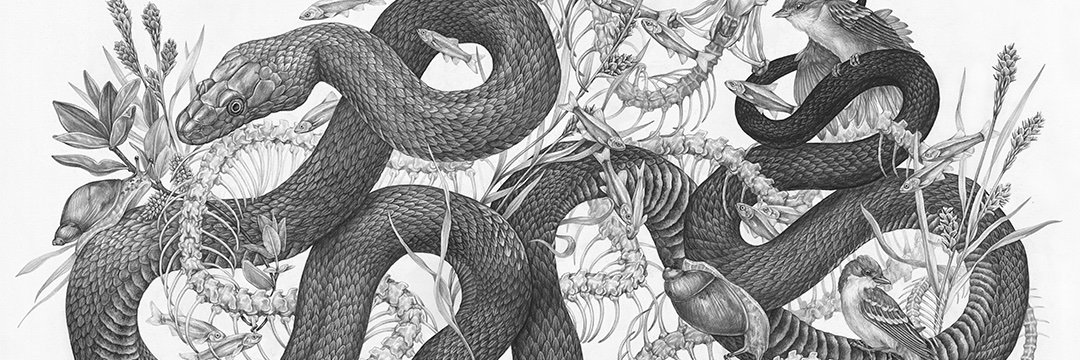 zoekellerdraws's profile banner image