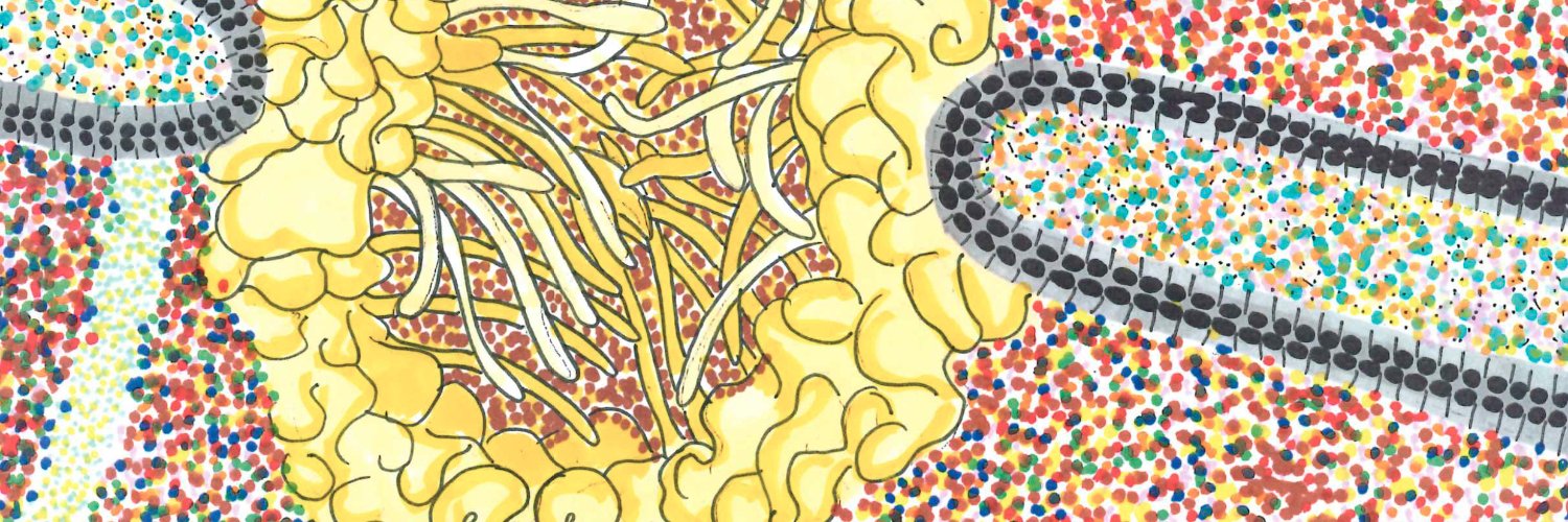 merisullivan's profile banner image
