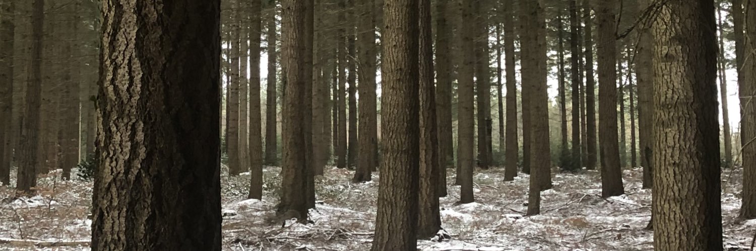 alinegrs_'s profile banner image