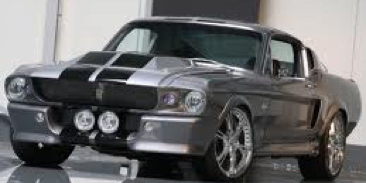 Harry R Haynes banner