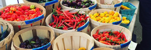 denrsch Profile Banner