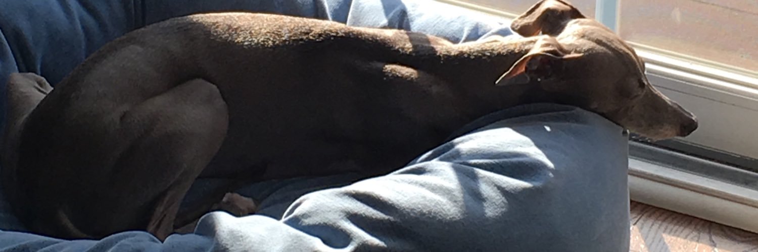 IggyGEMMA's profile banner image