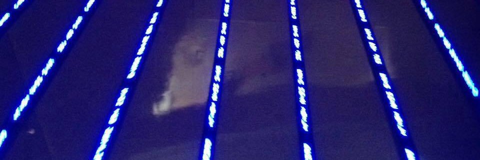 mariana8ps's profile banner image