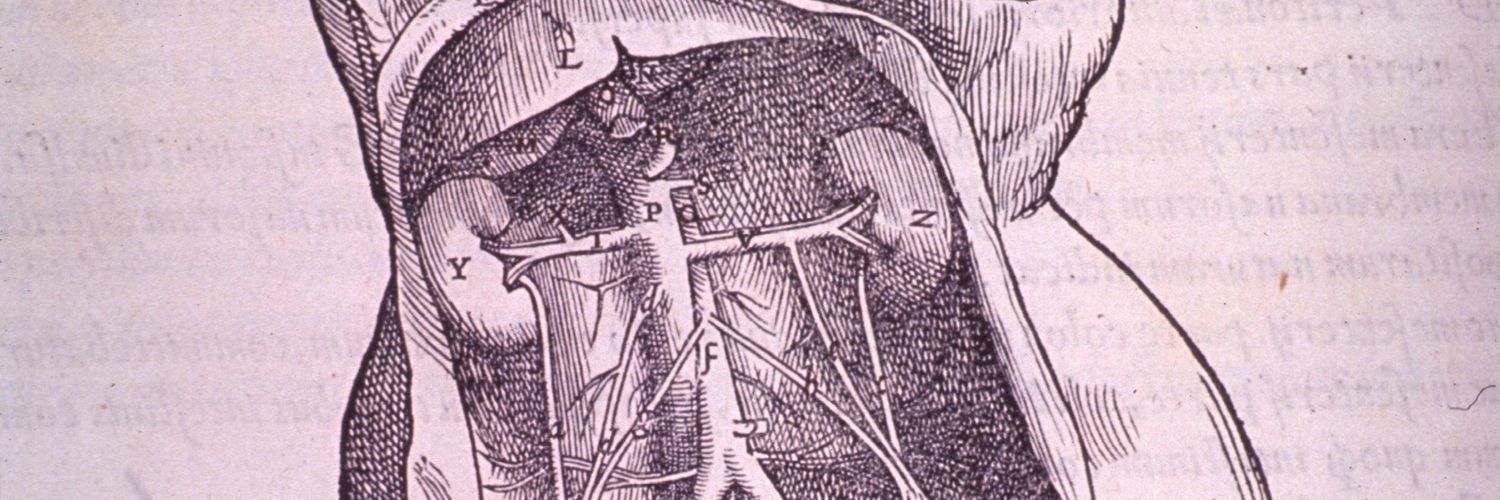 WZiler's profile banner image