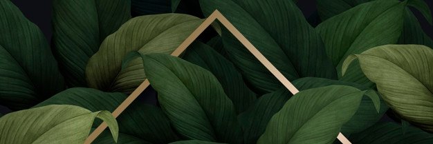 likefranklin's profile banner image