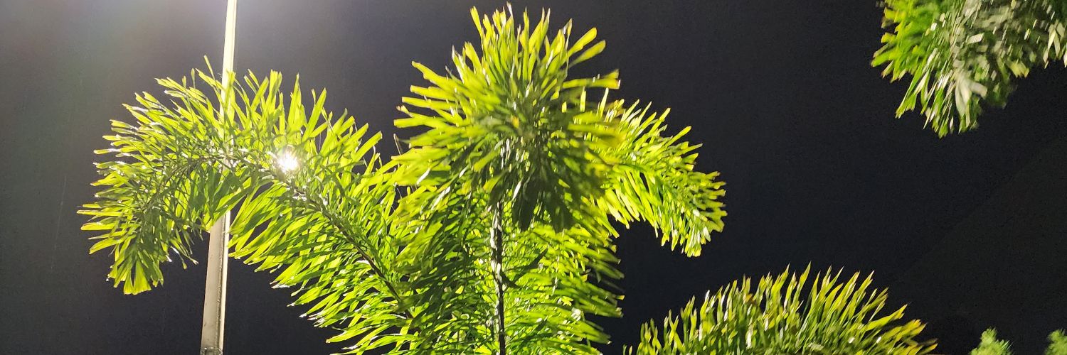 BillHogan1's profile banner image