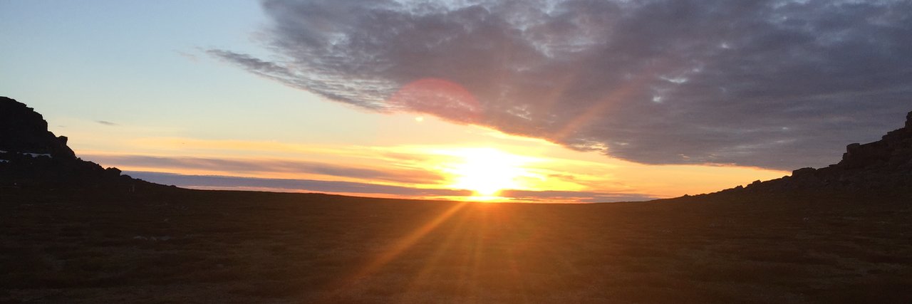 Megan Sheremata banner