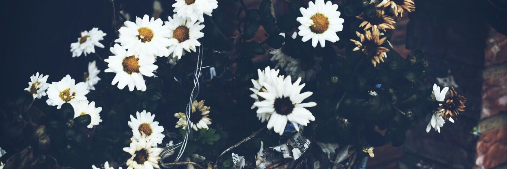 SoyMundoHipster's profile banner image