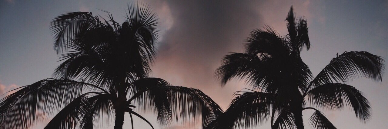 DelaneyH12's profile banner image