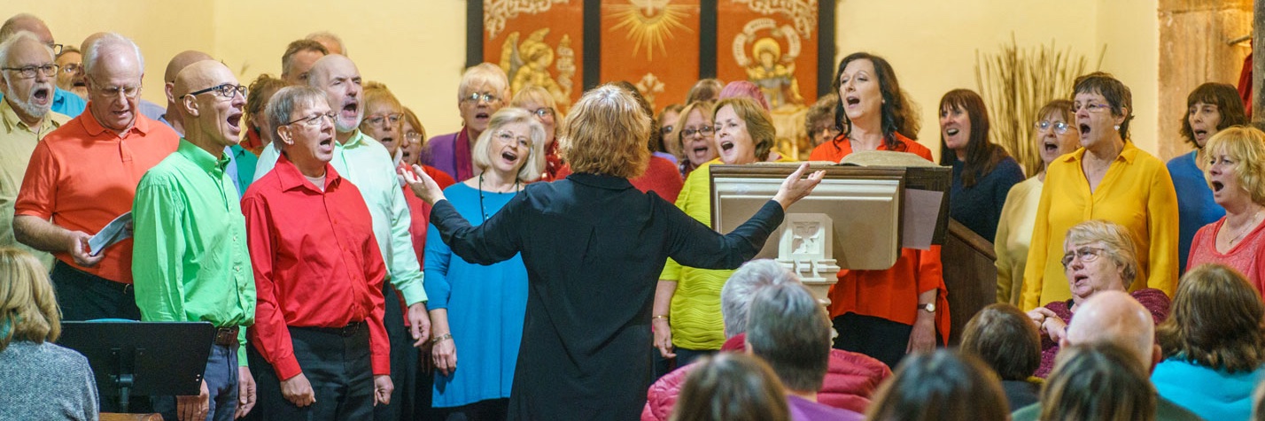 TheVoiceChoir's profile banner image