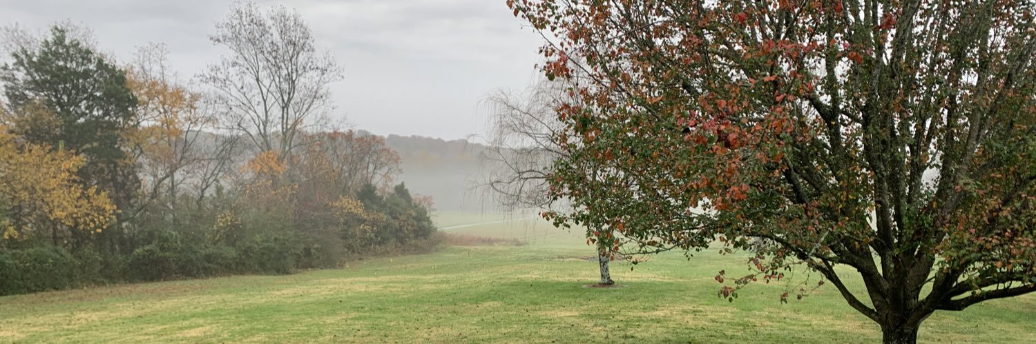 CoachJulieP's profile banner image