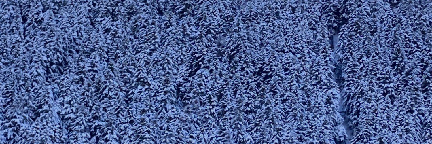 de_Bazan_'s profile banner image