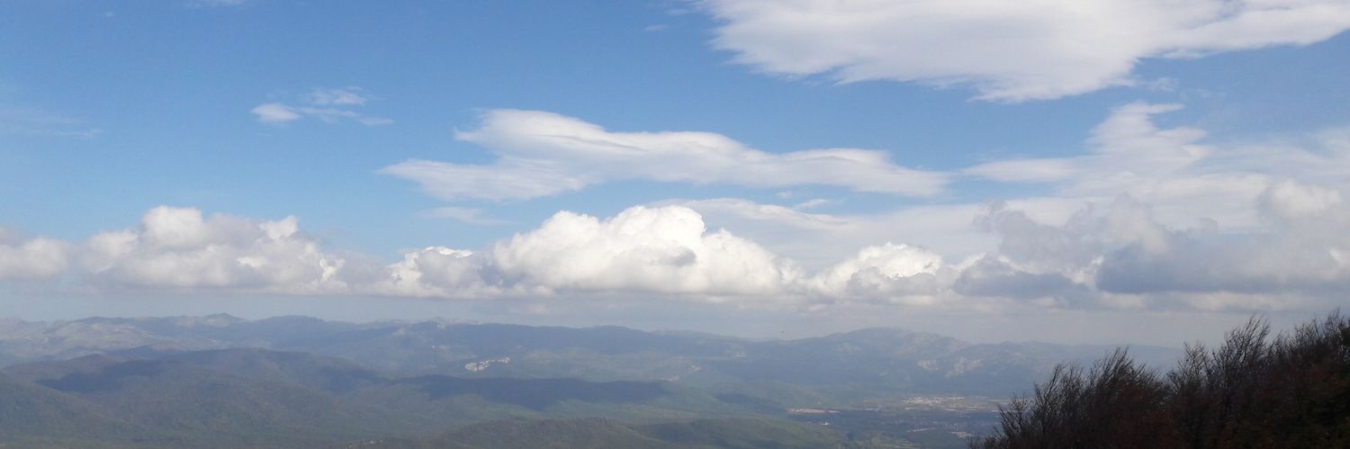 LoliLolisp's profile banner image