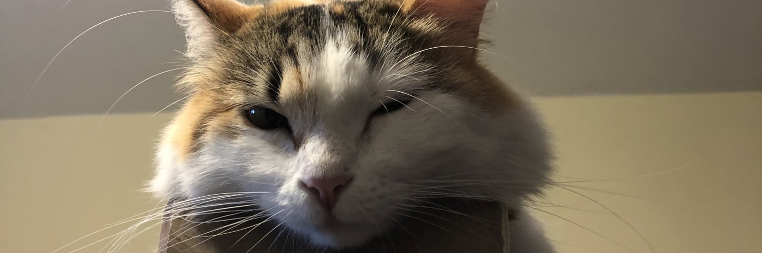 Marcelo Andrés banner