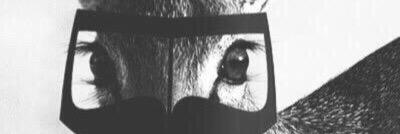 _alreeem_0's profile banner image