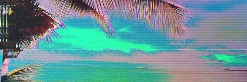 TROPICULT banner