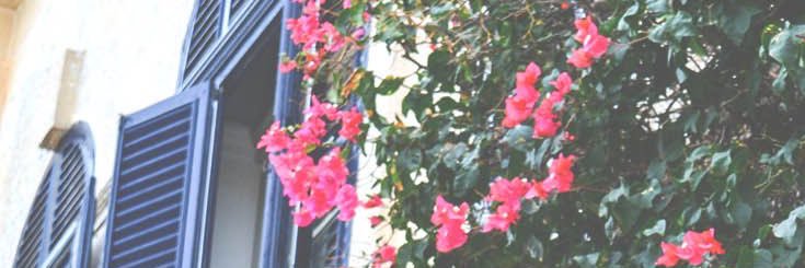 _nouf94's profile banner image