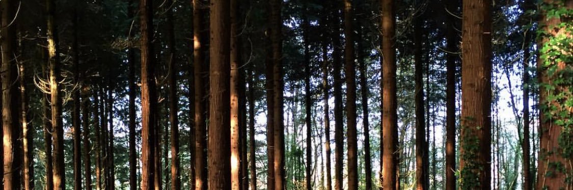 Poooooooonam's profile banner image