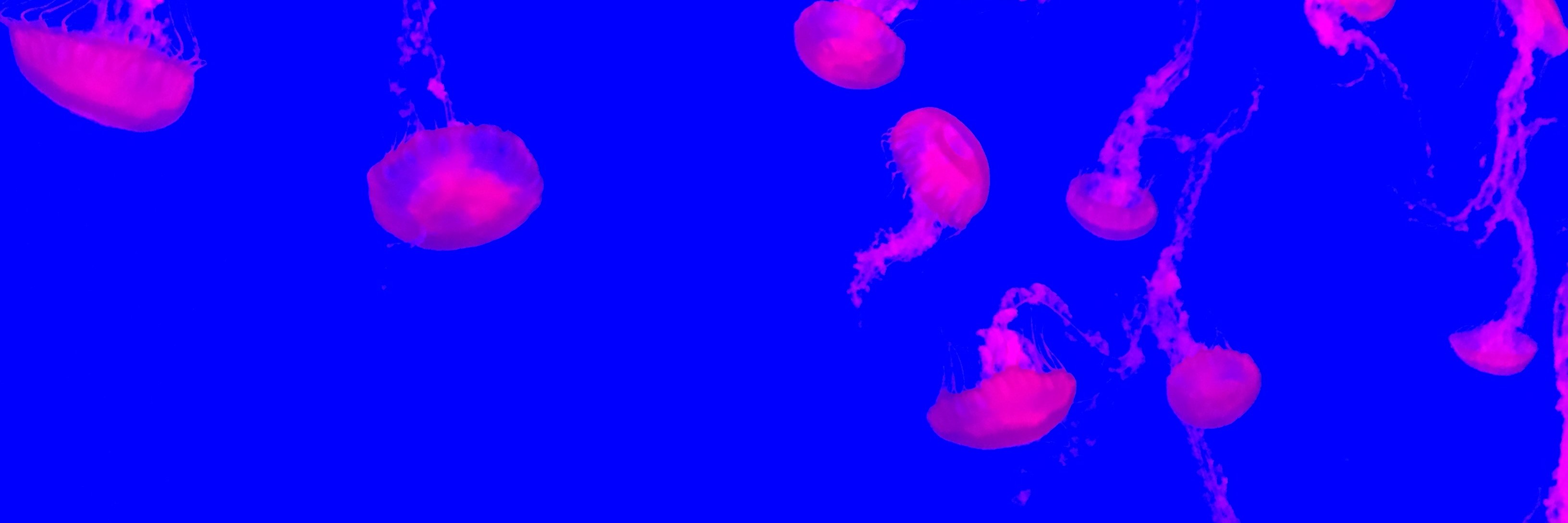 JeffYuille's profile banner image